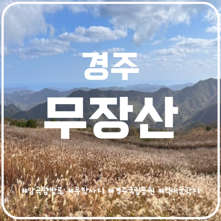 2년만에 재개방한 경주 억새명소 무장산 암곡탐방로 산행 2년만에 재개방한 경주 억새명소 무장산 암곡탐방로 산행