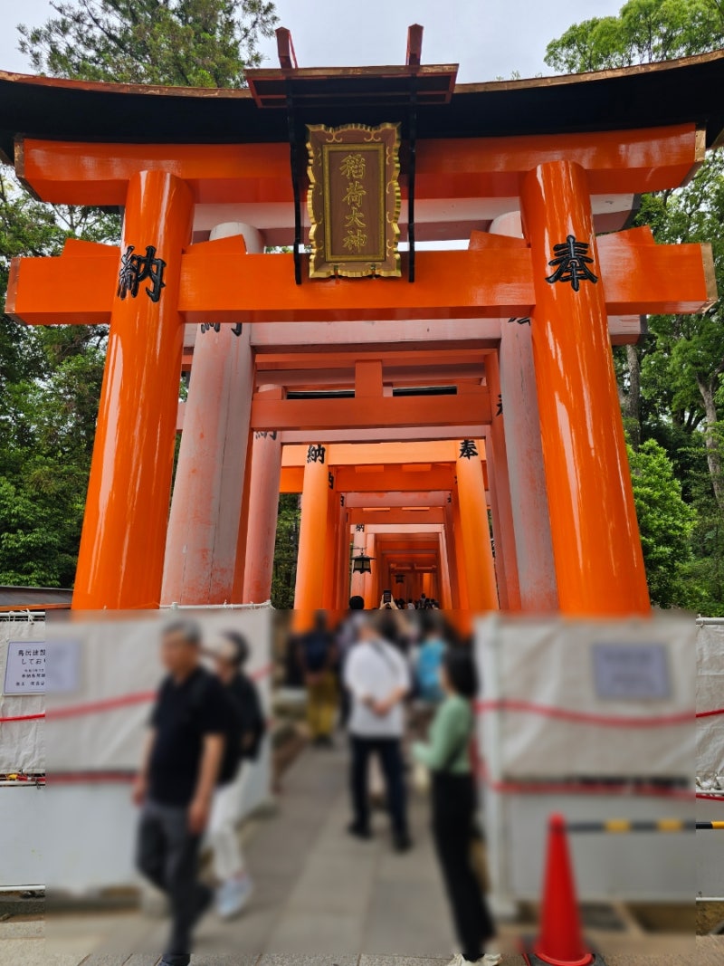 오사카] 6박7일 오사카 자유여행!! 1일차 < 뵤도인 / 후시이미나리 / 기요미즈데라 / 린넨자카 / 키무카츠 > (feat.  텐노지역 코인락커위치) : 네이버 블로그