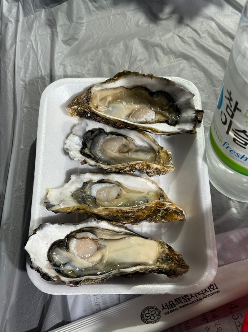 사진 5