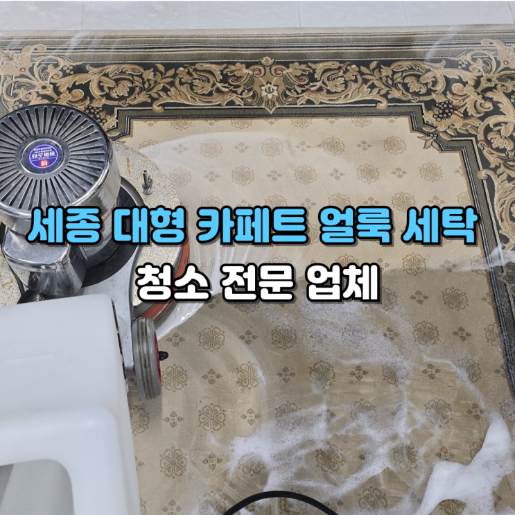 세종 카페트 세탁 확실하게 하는 업체