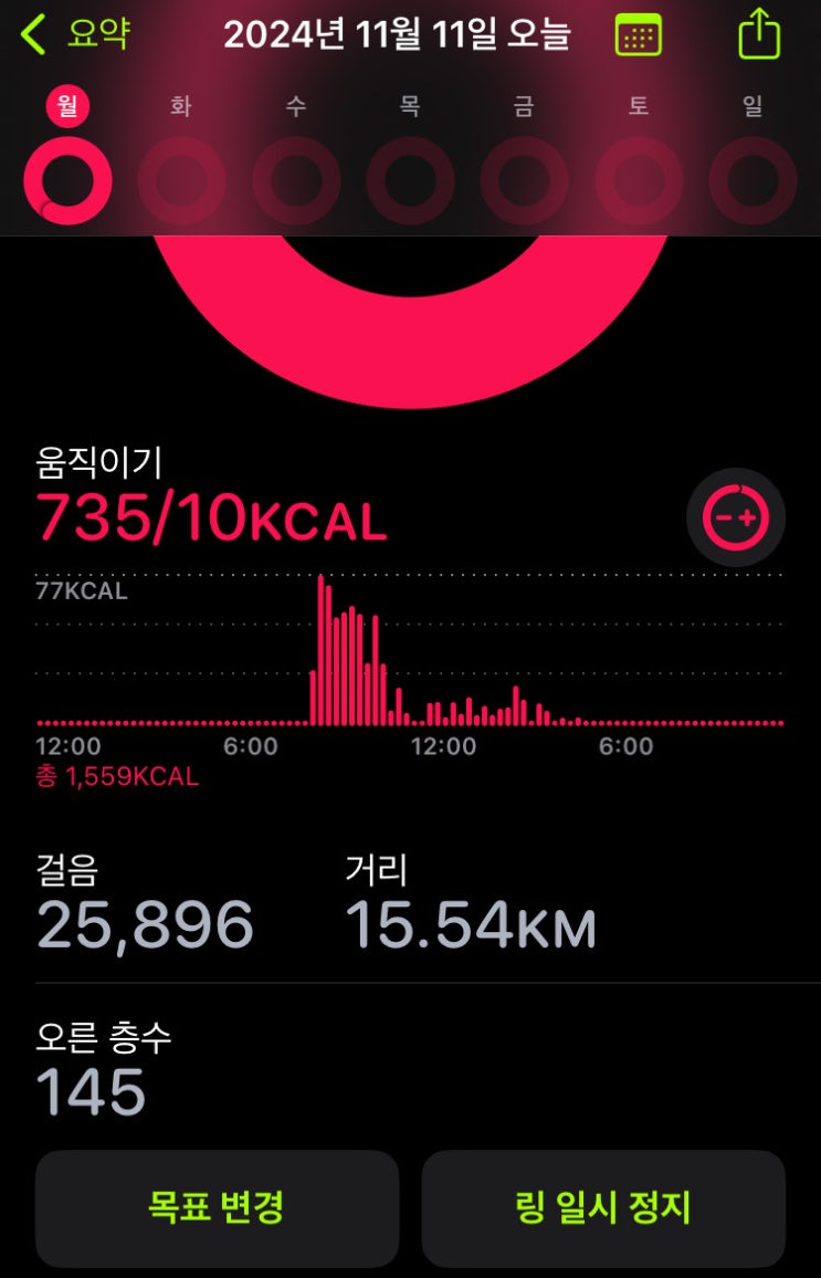  11월 11일 _ 고통의 초월