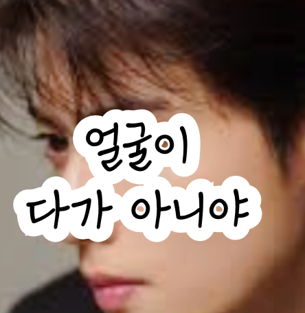 장두형 단두형 두상에 따른 여자 남자 연예인 헤어스타일 비교