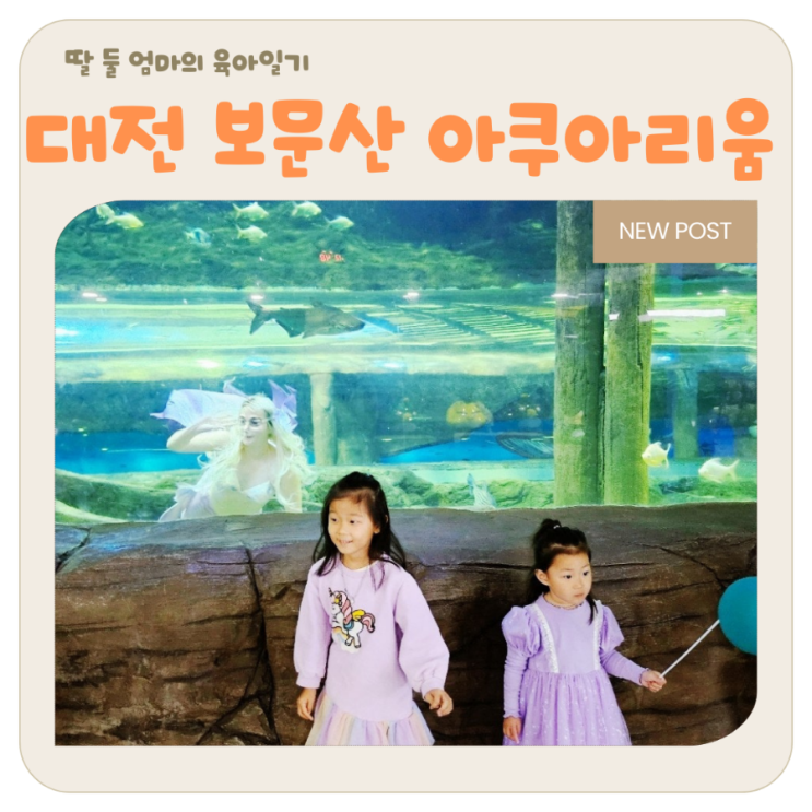  대전 가볼 만한 곳, 아이랑 대중교통으로 아쿠아리움 알차게 즐기기