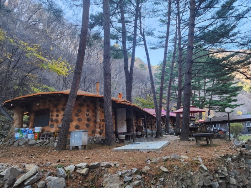 사진 7