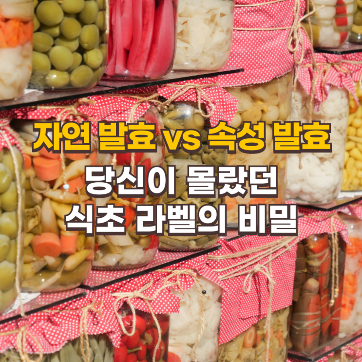  당신이 몰랐던 식초 라벨의 비밀: 자연 발효 식초 vs 속성 발효 식초