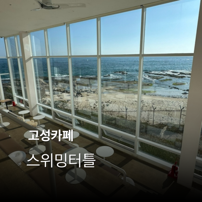 사진 6