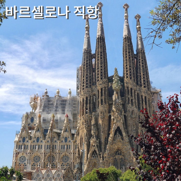  인천 바르셀로나 직항 아시아나 티웨이 비행기 시간표 티웨이특가