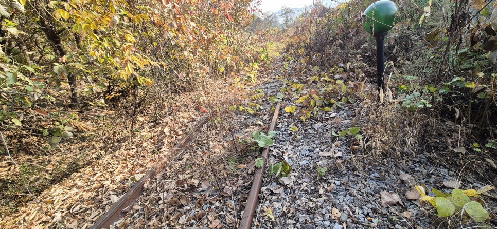 사금내산 사진 4