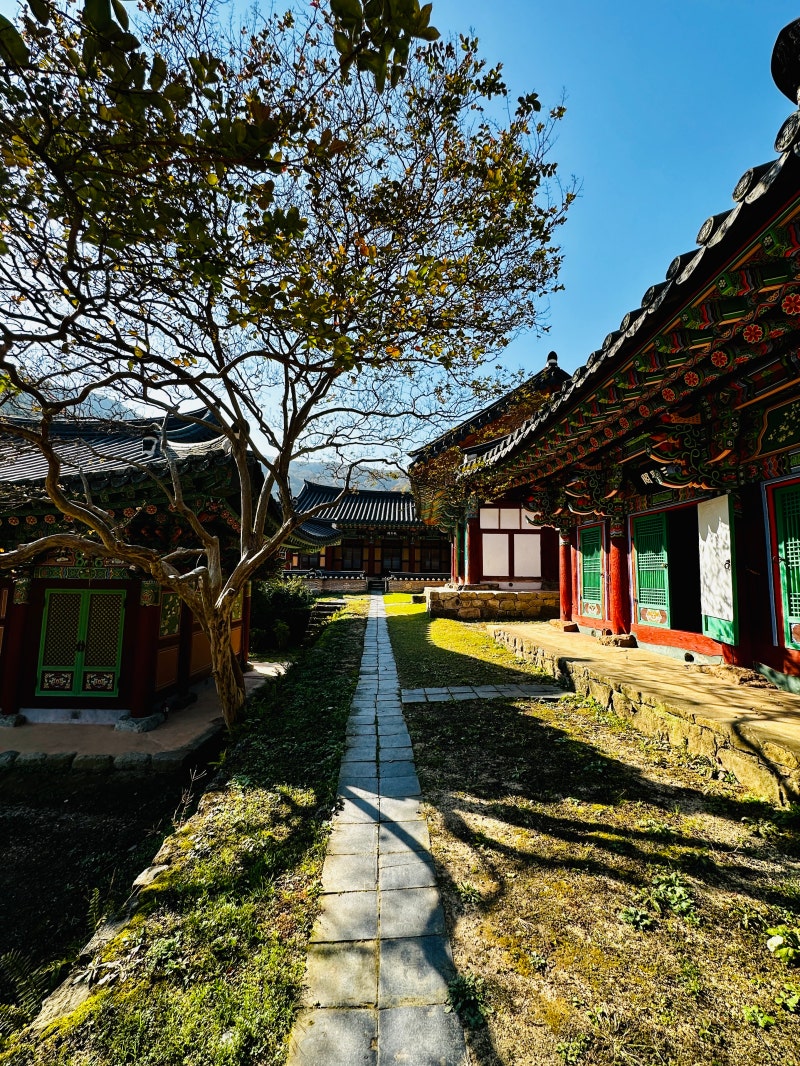 정책지식 2024.11.12. : 네이버 블로그