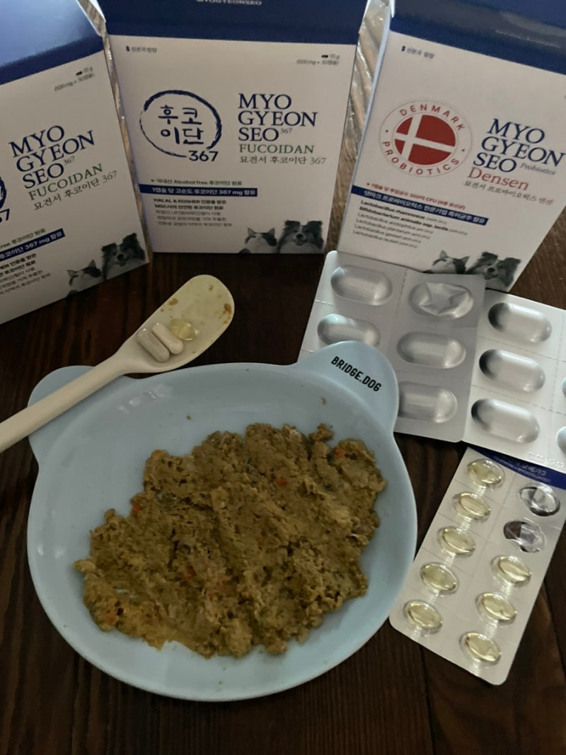 강아지 면역영양제 묘견서 후코이단 367 후기