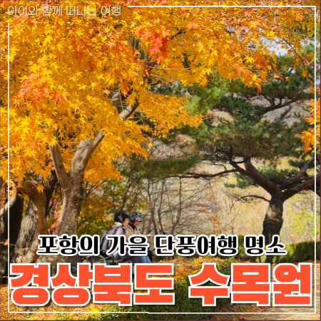  경상북도 수목원 포항 단풍명소 포토존