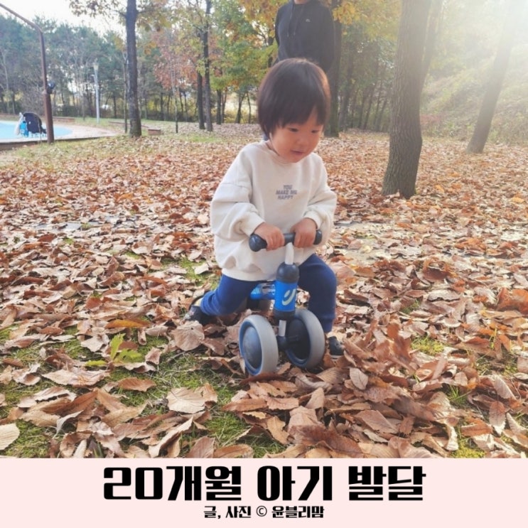  20개월 아기 발달 언어 놀이 반찬
