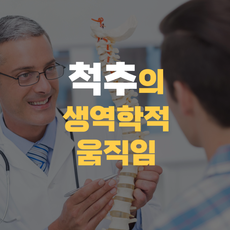 척추의 생역학적 움직임과 자세의 관계 척추의 생역학적 움직임과 자세의 관계