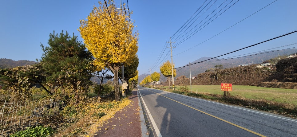 사금내산 사진 3