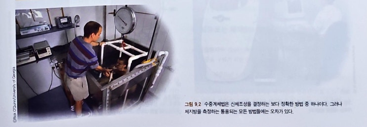  신체조성 측정 방법 정확한가