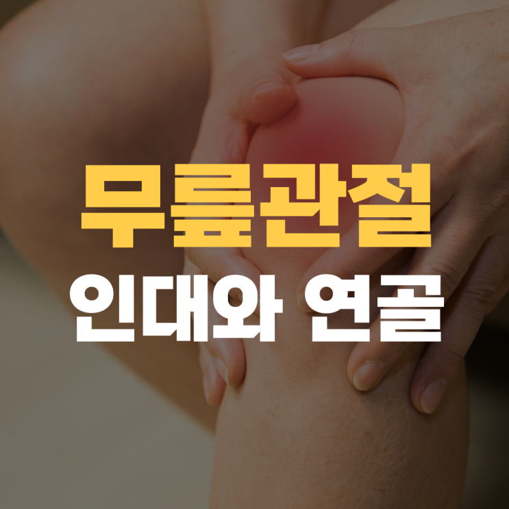 무릎 관절의 해부학: 인대와 연골의 기능 무릎 관절의 해부학: 인대와 연골의 기능