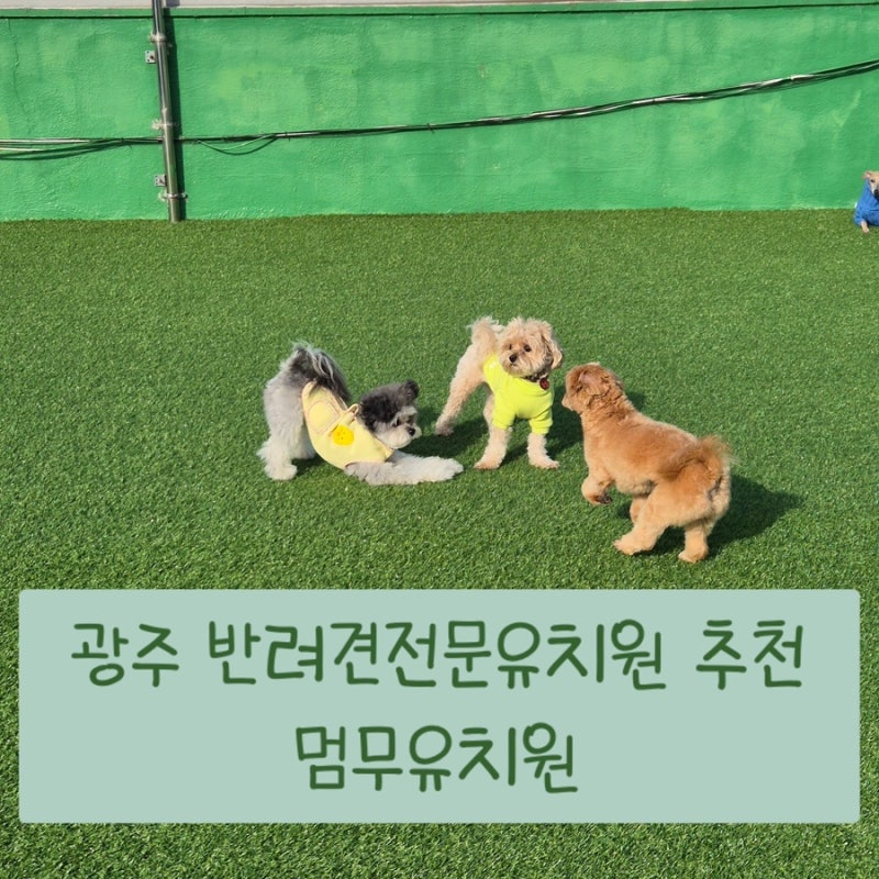 사진 8