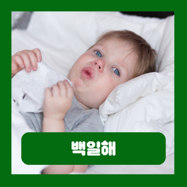  어린이 백일해 증상 영아 걸리면 진단 항생제 치료