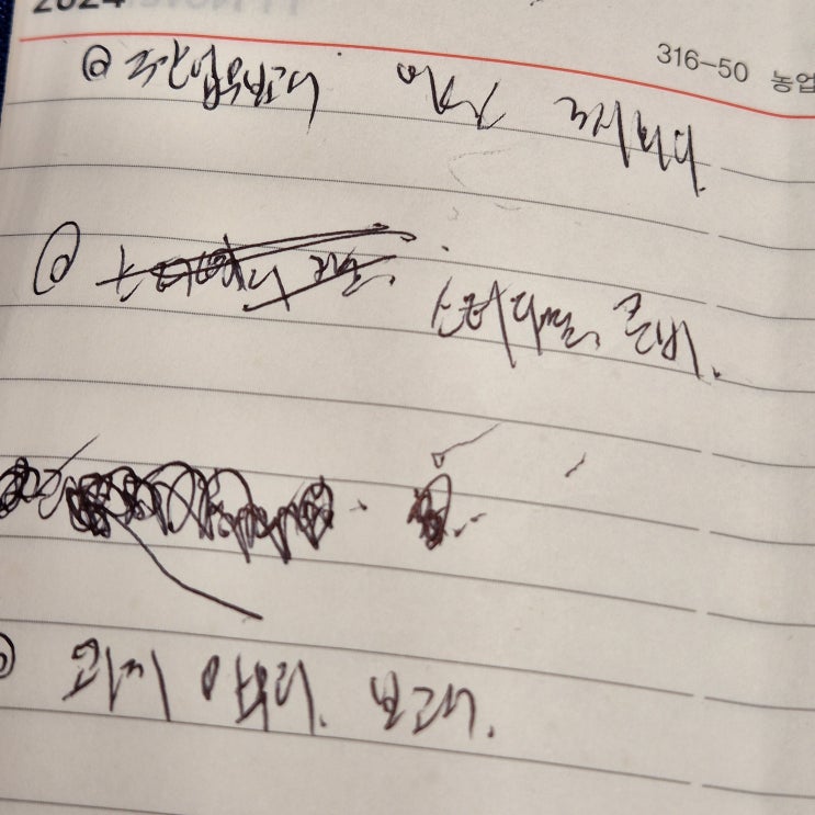  [일기] 24.11.11. 컨디션 난조, 빼빼로데이, 주간, 조퇴실패, 잠만보, 비올라레슨13, 잠