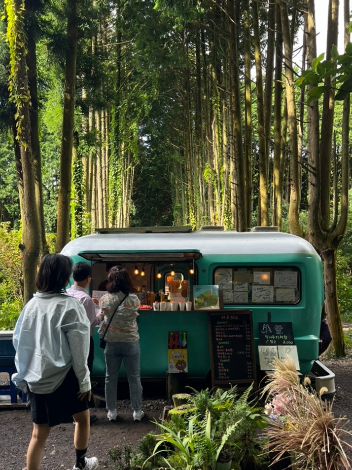 제주 가볼만한 곳 : 비밀의 숲