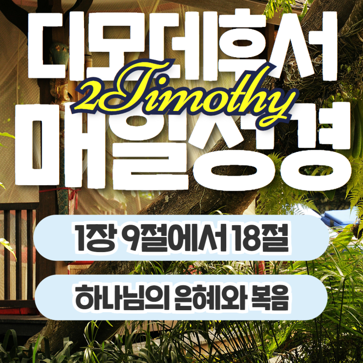 매일성경 11월 13일: 디모데후서 1장 9절에서 18절 - 하나님의 은혜와 복음의 사명 매일성경 11월 13일: 디모데후서 1장 9절에서 18절 - 하나님의 은혜와 복음의 사명