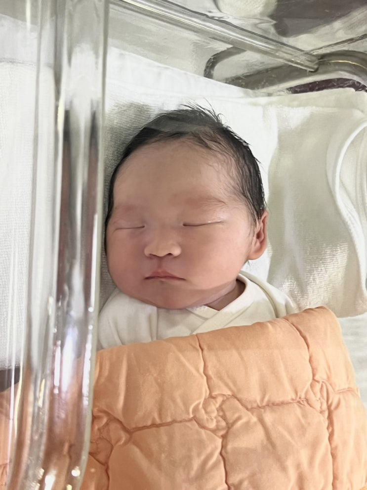  대구 효성병원 5박6일 제왕절개 출산기록