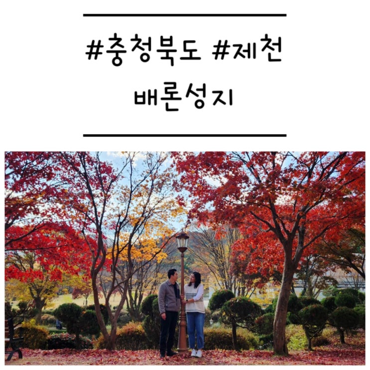  [충북/제천] '배론성지' 조금은 끝물인 단풍 실시간 (11/10 현재)