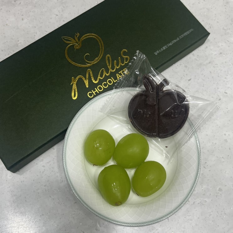 커플초콜릿 수제초콜릿 말루스 맛 후기