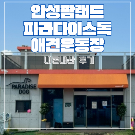 사진 4
