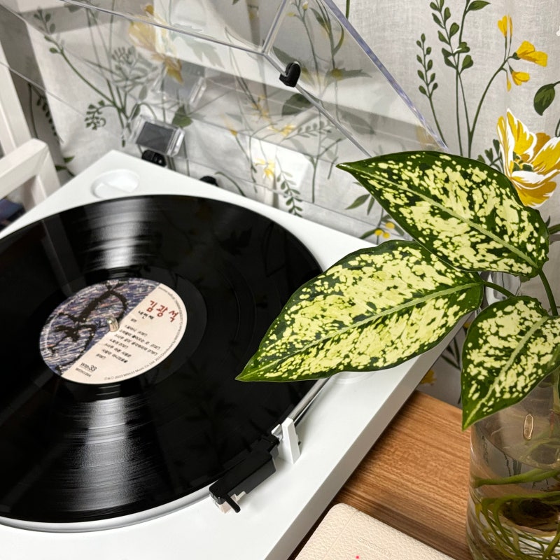 김광석 4집 네번째 LP 리뷰