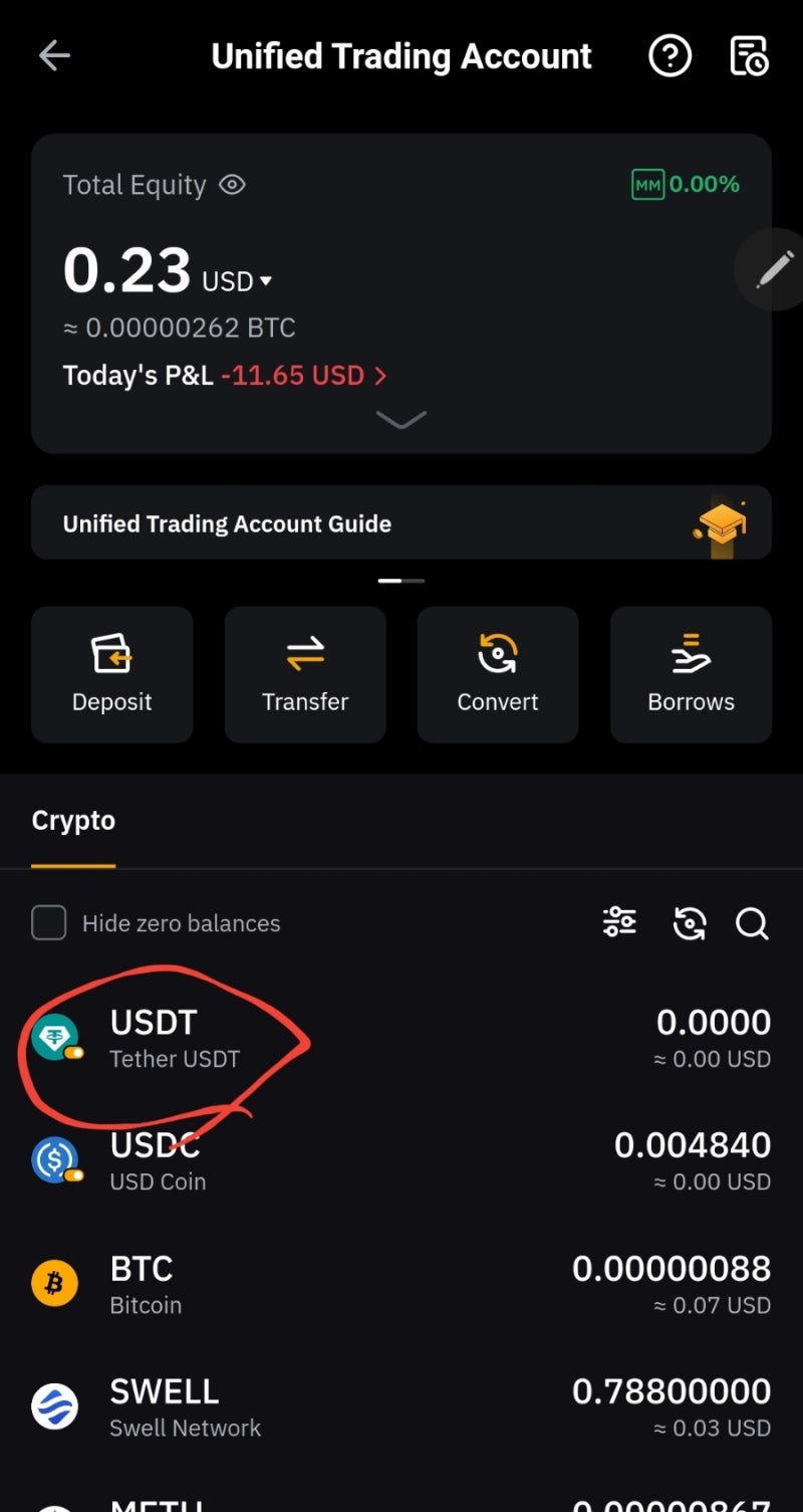 비트코인 매수 바이비트 테더 수익 방법 : 네이버 블로그