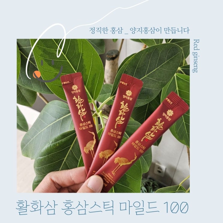  진세노사이드가 풍부한 활화삼 갱년기를 위한 맞춤형 홍삼스틱