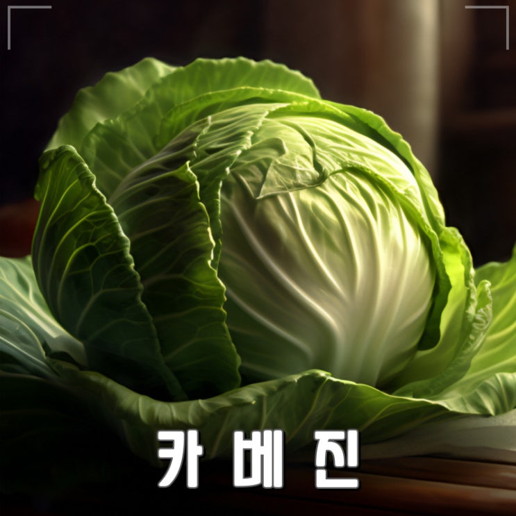 위장 속쓰림에 좋은 카베진