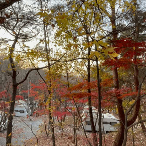  경기도 이천 1박2일 가볼만한곳 여행코스 추천