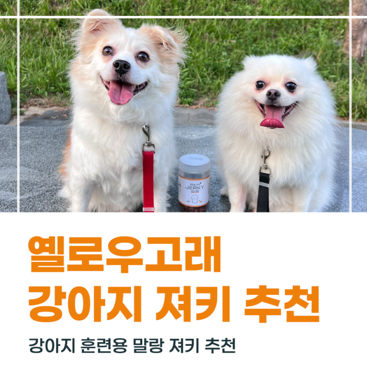  강아지 훈련용 간식 추천 옐로우고래 노즈워크용 져키 간식