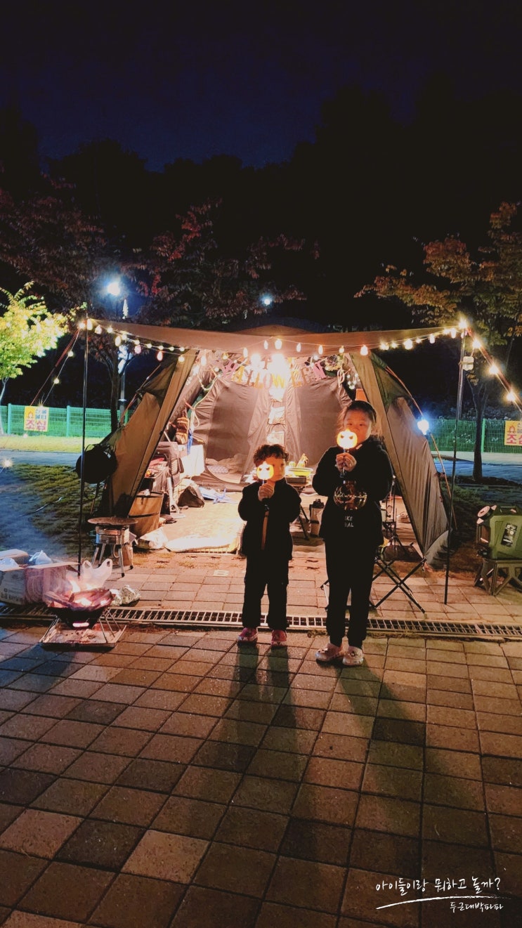  평택 내리캠핑장 예약 및 사이트 명당 아이와 갈만한 캠핑장