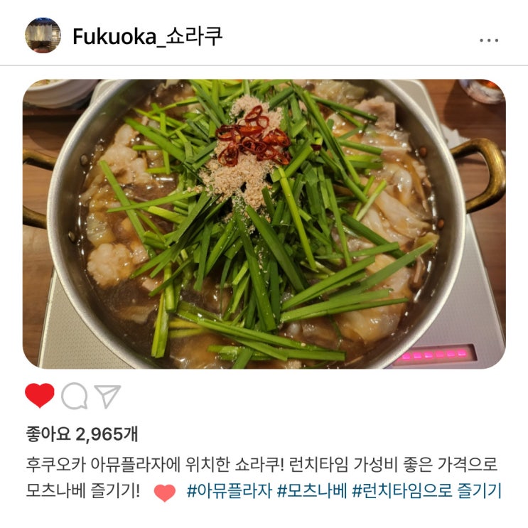   가성비 폭발! "쇼라쿠" 아뮤플라자 모츠나베 런치 추천