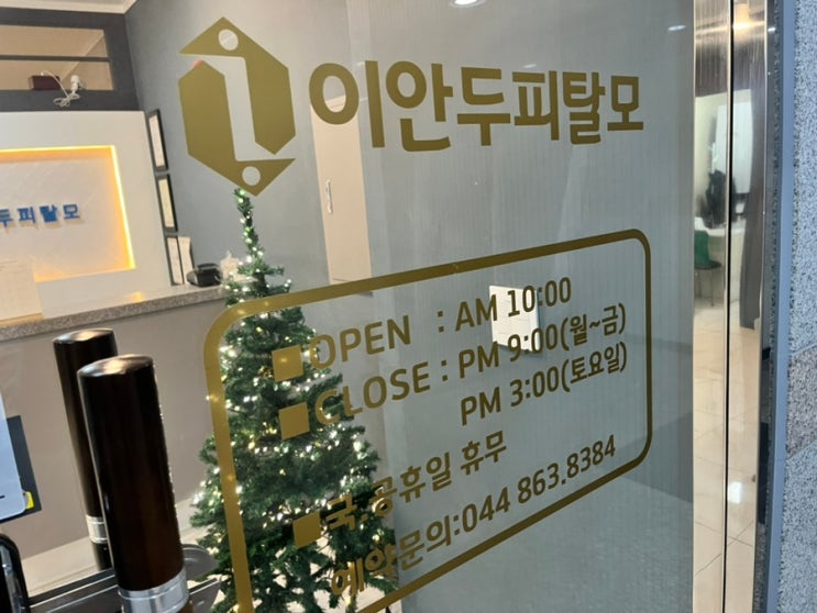  세종 두피케어 소중한 내 두피 케어가 필요할 때, 나성동 이안두피탈모 클리닉 방문 후기 세종시두피케어, 세종시탈모, 세종시두피, 세종시두피스파