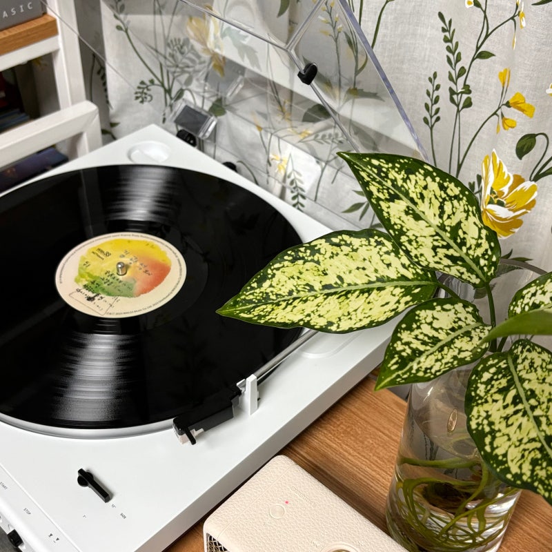 김광석 리마스터링 2집 LP 리뷰