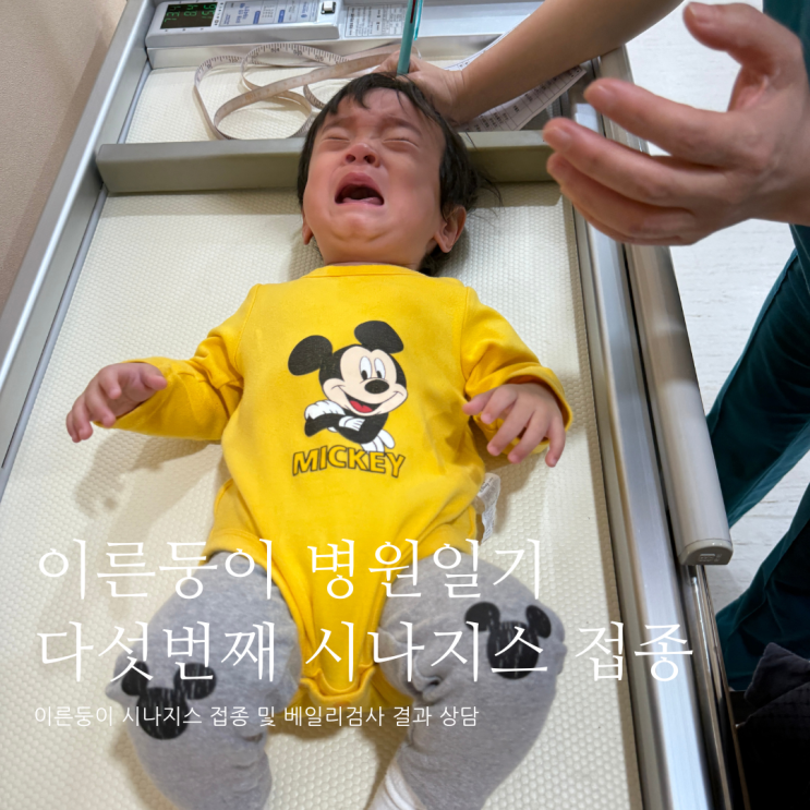 이른둥이 병원일기 다섯번째 시나지스 예방접종 시나지스접종 이른둥이 병원일기 다섯번째 시나지스 예방접종 시나지스접종