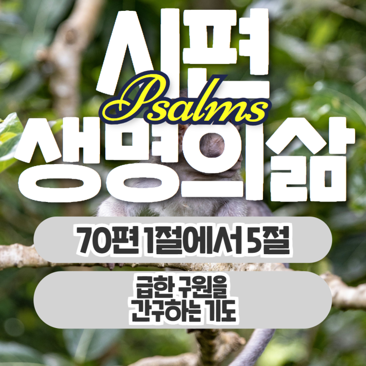 생명의삶 11월 13일: 시편 70편 1절에서 5절 - 급한 구원을 간구하는 기도 생명의삶 11월 13일: 시편 70편 1절에서 5절 - 급한 구원을 간구하는 기도