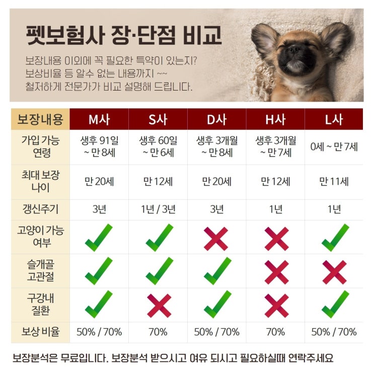  우리 강아지 고양이 보장분석 무료로 받기