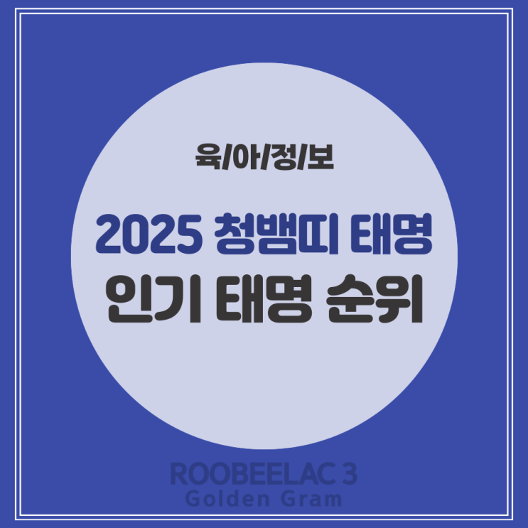  2025년 내년 푸른 뱀띠 청뱀 아기 태명 추천과 인기 태명 by. 덴마크 슈퍼 프리미엄 분유 루비락 3
