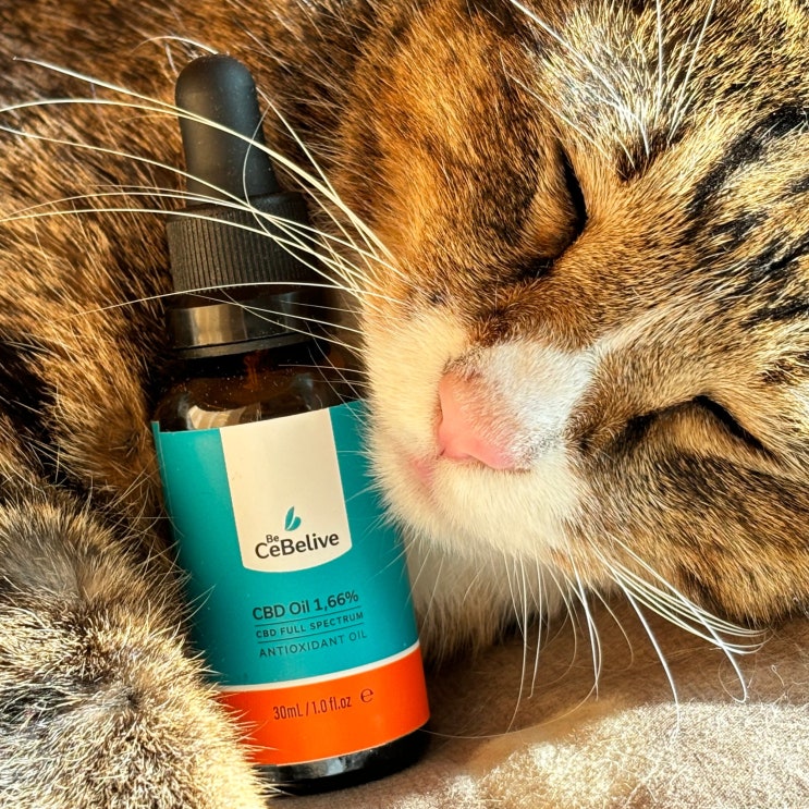  강아지 고양이 CBD 오일 효능. 비세벨리브 CBD Oil 1.66%