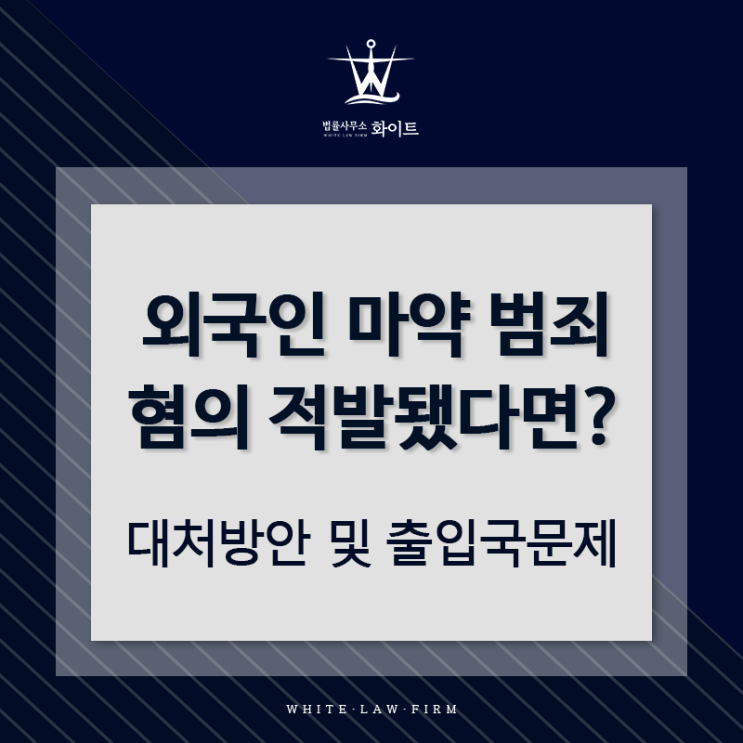  외국인 마약관련 범죄 혐의 적발됐다면?- 대처방안 및 출입국문제