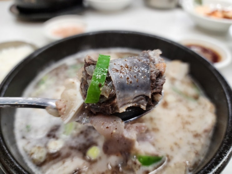 순대고집