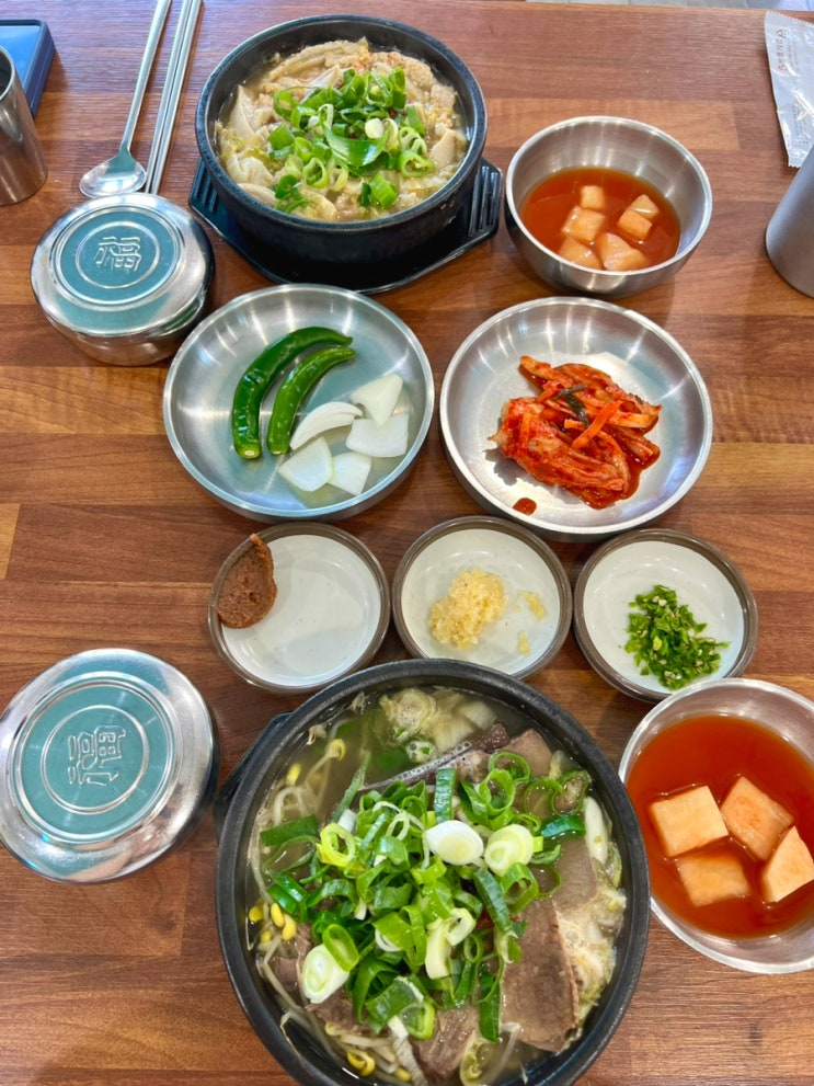  제주 성산일출봉 맛집 : 현지도민 내장탕 맛집 산지해장국 후기