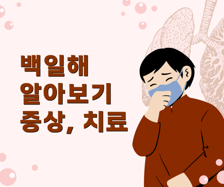 백일해 증상 예방접종 증상 검사 격리 성인 치료 알아보기