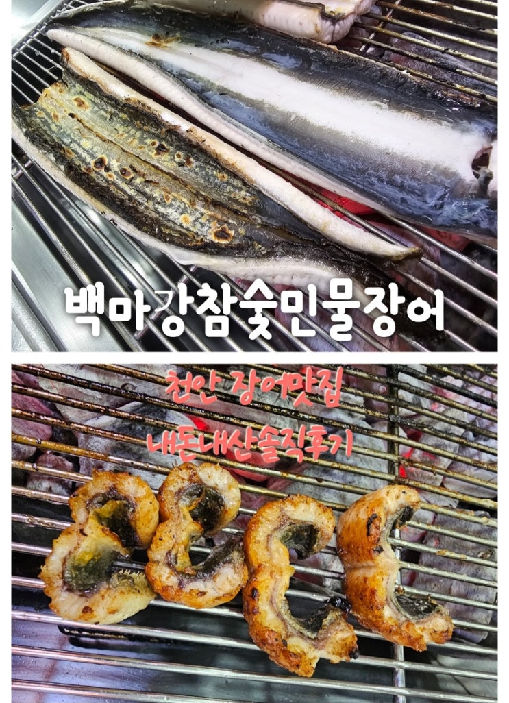  백마강참숯민물장어 천안장어맛집 내돈내산솔직후기