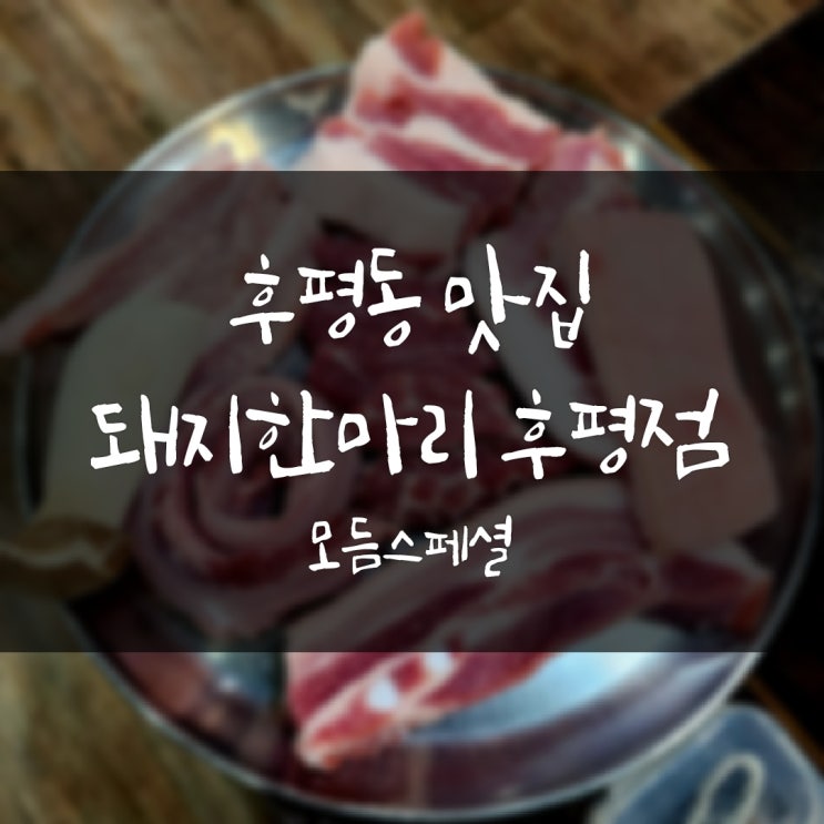  돼지한마리 후평점, 춘천 후평동맛집 모듬스페셜 메뉴추천